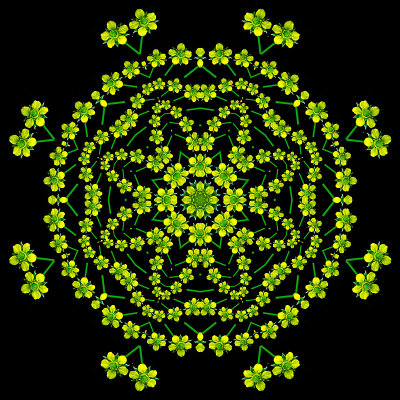 Evolved kaleidoscope created with a small wild flower in the forest