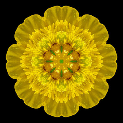 Kaleidoscope created with a small yellow flower seen next to the river