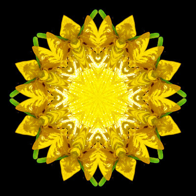 Kaleidoscope created with a small yellow flower seen next to the river