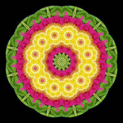 Evolved kaleidoscope created out of a kaleidoscopic picture I did one day earlier