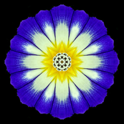 Kaleidoscope created with a small flower seen in June