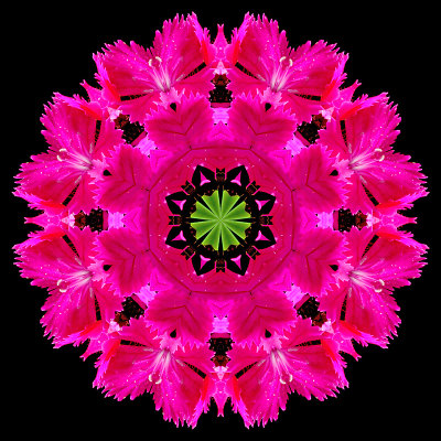 Kaleidoscope created with a flower seen in front of the house