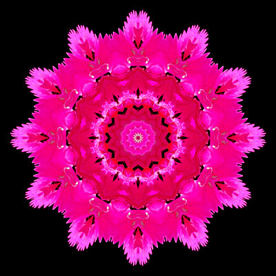 Kaleidoscope created with a flower seen in front of the house