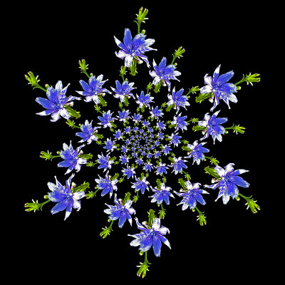 g12/54/24354/3/171027542.IWPBZOfL.jpg