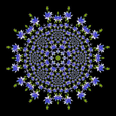 Evolved kaleidoscopic creation with a wild blue flower