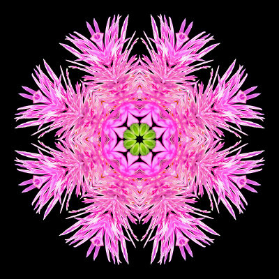 g12/54/24354/3/171052918.xvmtJtkA.jpg