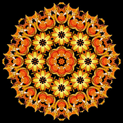 Evolved kaleidoscope created with autumn leaves