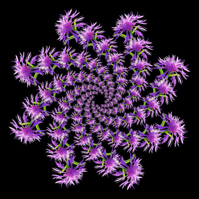 g12/54/24354/3/171097480.4ahKg91W.jpg