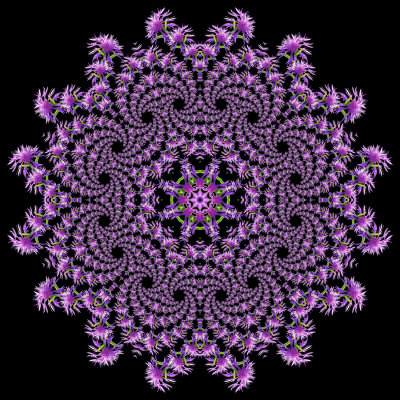 Evolved kaleidoscope created out of the spiral arrangement done with a wild flowe