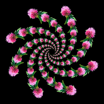 g12/54/24354/3/171099446.QdTMagnG.jpg