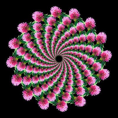 g12/54/24354/3/171099448.F88R0Hz7.jpg