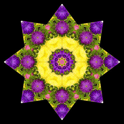 Kaleidoscopic picture created with garden flowers
