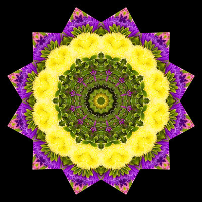 Kaleidoscopic picture created with garden flowers