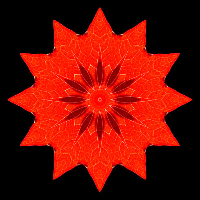 Kaleidoscope created with a red leaf seen at the forest in October