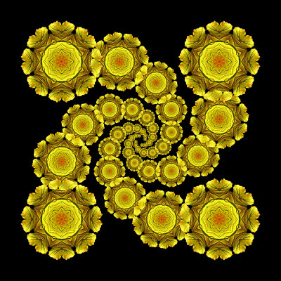 Evolved spiral kaleidoscope created with a yellow leaf seen at the forest in October