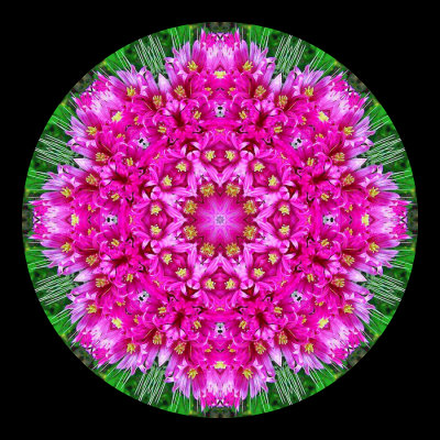 Kaleidoscopic picture created with a flower bunch