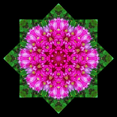 Kaleidoscopic picture created with a flower bunch
