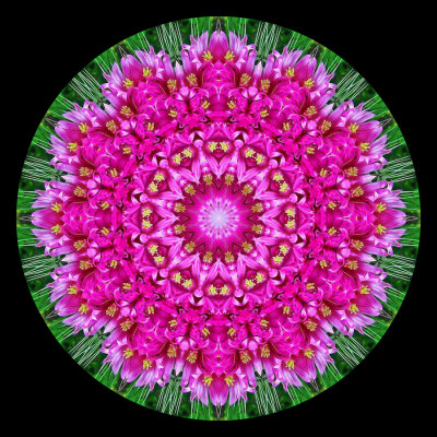 Kaleidoscopic picture created with a flower bunch