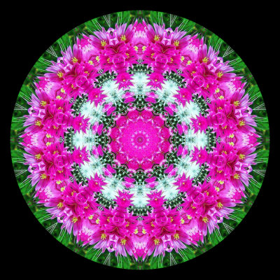 Kaleidoscopic picture created with a flower bunch