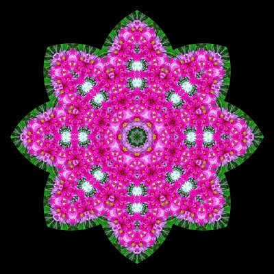 Evolved kaleidoscope created with a flower bunch