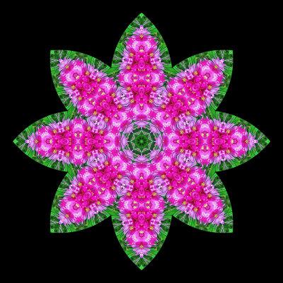 Evolved kaleidoscope created with a flower bunch