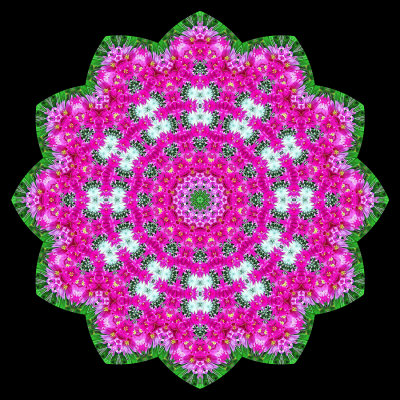 Evolved kaleidoscope created with a flower bunch