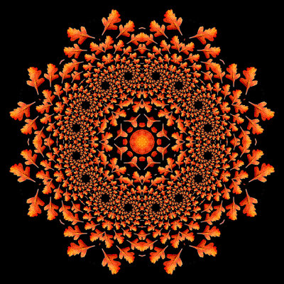 Evolved kaleidoscope created with a small autumn leaf in October
