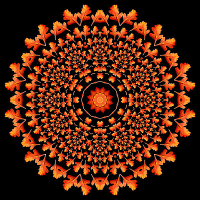 Evolved kaleidoscope created with a small autumn leaf in October