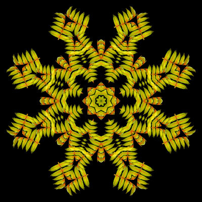 Evolved kaleidoscopic picture created with autumn leaves