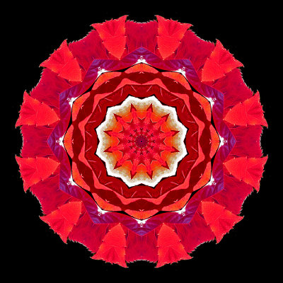 Kaleidoscopic picture created with a red autumn leaf seen in October