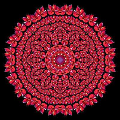 Evolved kaleidoscope created with a red autumn leaf