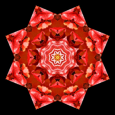 Kaleidoscopic picture created with red autumn leaves