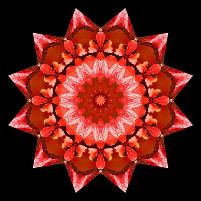 Kaleidoscopic picture created with red autumn leaves