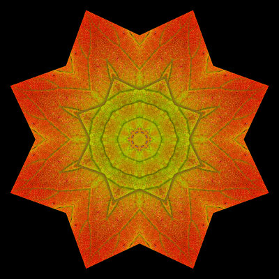 Kaleidoscopic picture created with an autumn leaf