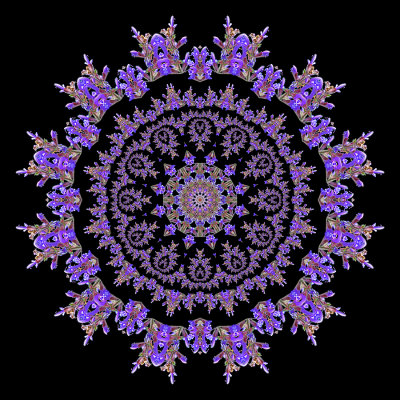 Evolved kaleidoscope created with a wild salvia flower seen in May