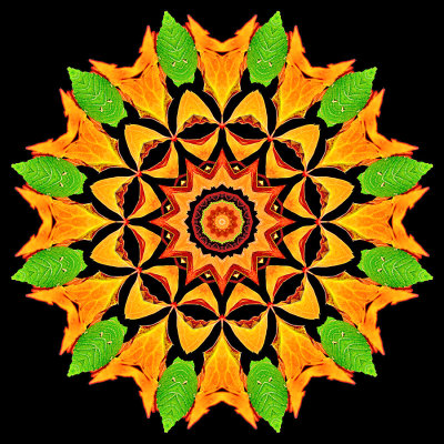 Kaleidoscopic picture created with autumn leaves seen in October