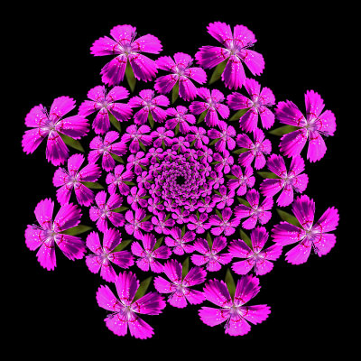 g12/54/24354/3/171224577.kEYoDSOG.jpg