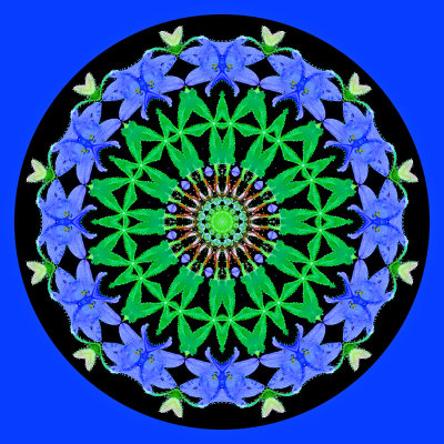 Kaleidoscope with background changed to non-black to get a better look when printed on a greeting card