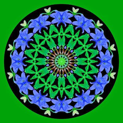 Kaleidoscope with background changed to non-black to get a better look when printed on a greeting card