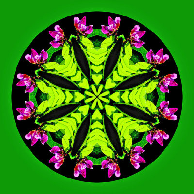 Kaleidoscope with background changed to non-black to get a better look when printed on a greeting card