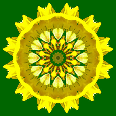Kaleidoscope with a small yellow wild flower - put on a green background