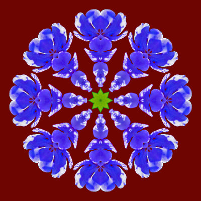 Kaleidoscope with a wild flower on a dark-red background