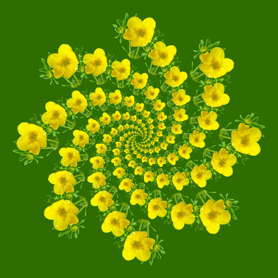 g12/54/24354/3/171362644.vnj8tDVX.jpg
