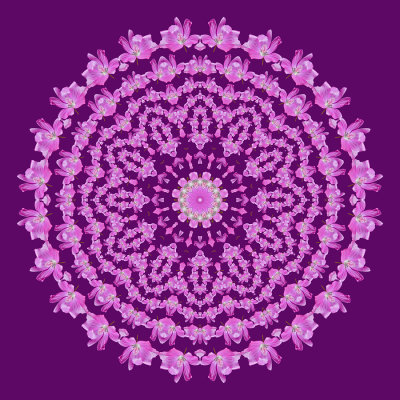 Evolved kaleidoscopic creation with a flower seen in May