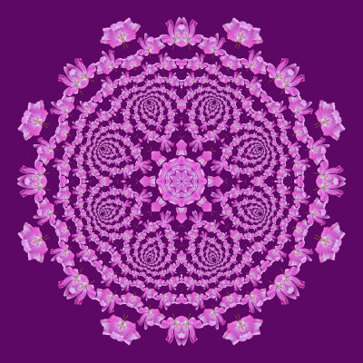 Evolved kaleidoscopic creation with a flower seen in May