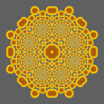 Evolved kaleidoscope created with a picture of a sunflower