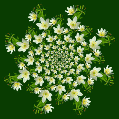 g12/54/24354/3/171392341.NpoPbXdd.jpg