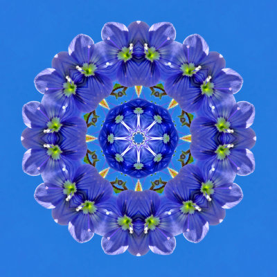 g12/54/24354/3/171413649.gSyovqTQ.jpg