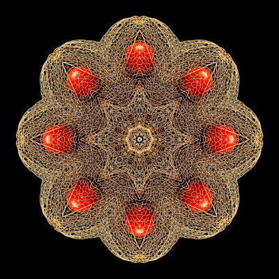 Kaleidoscope created with a dry flower