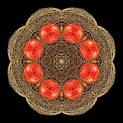 Kaleidoscope created with a dry flower